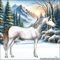 Horse Color:Red Dun Ice Splash Tobiano 