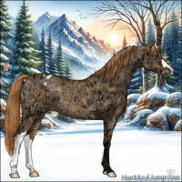 Horse Color:Red Dun Ice Varnish 