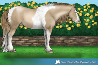 Horse Color:Smoky Black Pearl Splash Tobiano 