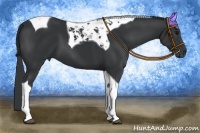 Horse Color:Black Tobiano 