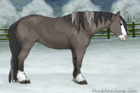 Horse Color:Silver Black Sabino Splash  and Black Sabino Splash 