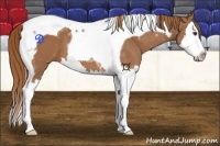 Horse Color:Chestnut Splash Tobiano