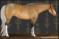 Horse Color:Silver Buckskin 