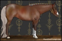 Horse Color:Silver Bay 