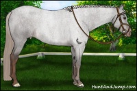 Horse Color:Liver Red Roan Varnish 