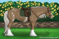 Horse Color:White Spotted Silver Smoky Black Splash