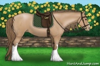 Horse Color:Black Pearl