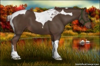 Horse Color:Liver Chestnut Tobiano 