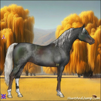 Horse Color:Liver Chestnut Mushroom 