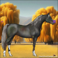 Horse Color:Liver Chestnut Mushroom 