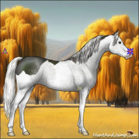 Horse Color:Liver Chestnut Mushroom Splash 