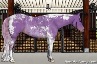 Horse Color:Watercolor Chocolate Palomino Tobiano Rabicano