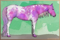 Horse Color:Nacre Watercolor Chocolate Palomino Tobiano Rabicano