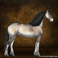 Horse Color:White Spotted Brown Onyx 