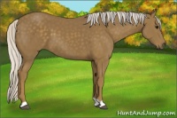 Horse Color:Silver Smoky Black 