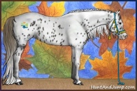 Horse Color:Smoky Black Tobiano Appaloosa 