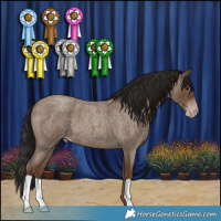 Horse Color:Gray Classic Champagne Roan 