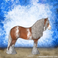 Horse Color:White Spotted Silver Bay Splash