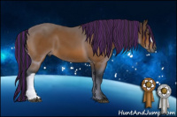 Horse Color:Gray Painted Buckskin 