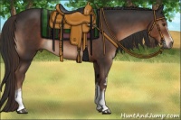 Horse Color:White Spotted Liver Chestnut Sabino 