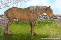 Horse Color:Chocolate Palomino 