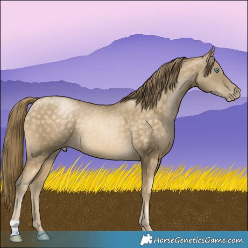 Horse Color:Buckskin Pearl 