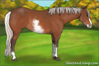 Horse Color:White Spotted Silver Bay Splash