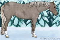 Horse Color:Silver Smoky Blue Ice Roan 