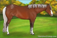 Horse Color:White Spotted Silver Bay Splash 