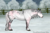 Horse Color:White Spotted Silver Brown Chinchilla Ice
