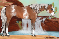 Horse Color:White Spotted Silver Bay Splash 