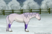 Horse Color:Watercolor Silver Bay Chinchilla Dun Sabino