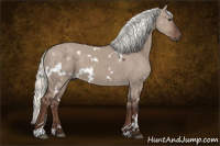 Horse Color:White Spotted Liver Red Dun Mushroom