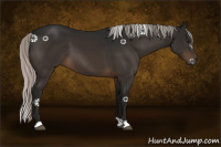 Horse Color:Gray Silver Brown 