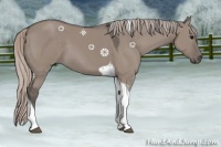 Horse Color:Silver Grullo Tobiano
