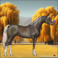 Horse Color:Liver Chestnut Mushroom 