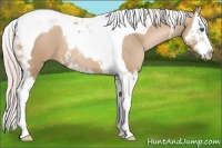 Horse Color:Silver Smoky Black Pearl Splash Tobiano 