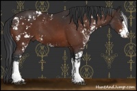 Horse Color:Brown Sabino