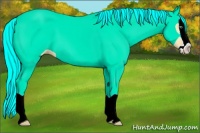 Horse Color:Silver Amber Cream Champagne Splash 