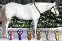 Horse Color:Classic Champagne Sabino Appaloosa Rabicano