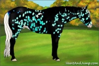 Horse Color:Silver Buckskin Tobiano Near Leopard 