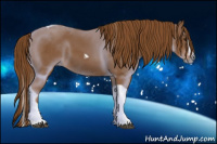Horse Color:Gray Chestnut Splash Tobiano