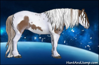 Horse Color:Gray Chestnut Splash Tobiano 