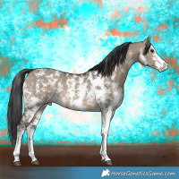 Horse Color:Brown Dun Sabino 