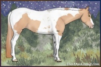 Horse Color:Gold Champagne Tobiano