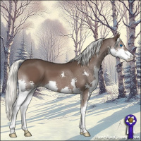 Horse Color:Liver Chestnut Mushroom Splash 