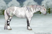 Horse Color:Nacre White Spotted Silver Brown Chinchilla Ice 