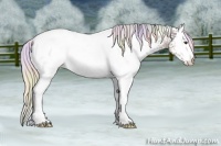 Horse Color:Nacre White Spotted Silver Bay Ice 