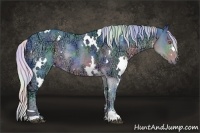 Horse Color:Nacre Watercolor White Spotted Silver Black Chinchilla Ice Sabino Rabicano 