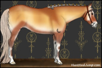 Horse Color:Silver Buckskin Onyx 